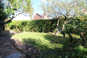 Photo 11- click for photo gallery